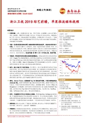 影视传媒行业周报：浙江卫视2019综艺前瞻，苹果推流媒体视频