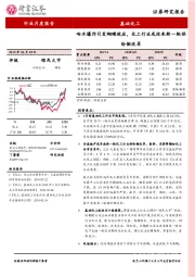 基础化工行业月度报告：响水爆炸引发蝴蝶效应，化工行业或迎来新一轮供给侧改革