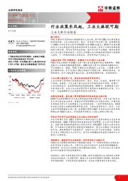 工业大麻行业报告：行业政策东风起，工业大麻犹可期