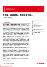 TMT行业周报：大数据、信息安全、车联网景气向上