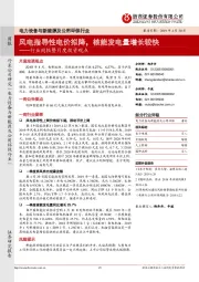 电力设备与新能源及公用环保行业行业周报暨月度投资观点：风电指导性电价拟降，核能发电量增长较快