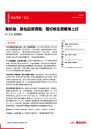 化工行业周报:有机硅、涤纶震荡调整,看好维生素继续上行