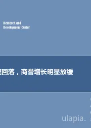 计算机行业周报：行业增速回落，商誉增长明显放缓