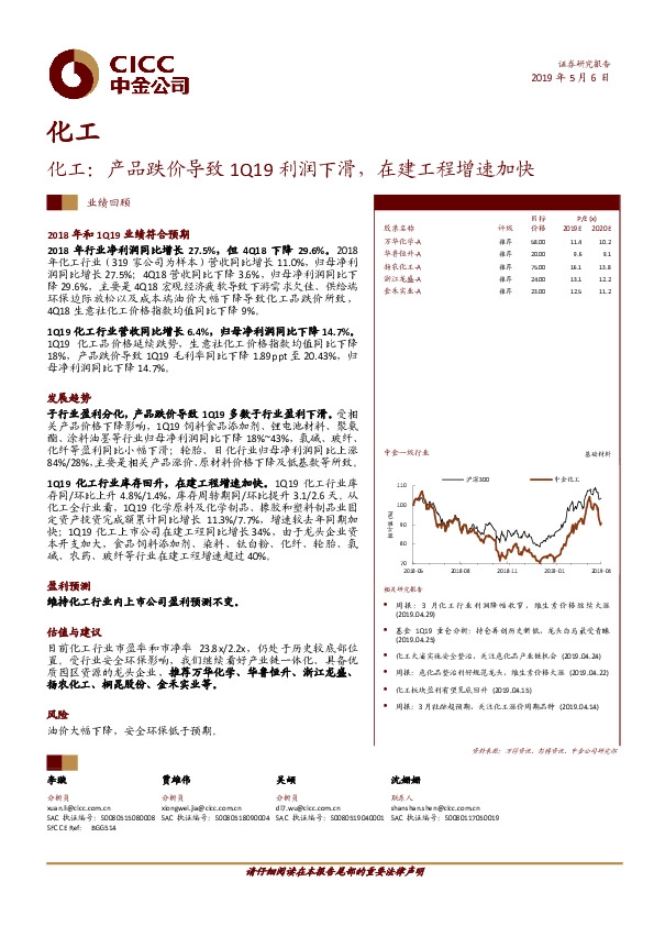 化工业绩回顾：产品跌价导致1Q19利润下滑，在建工程增速加快