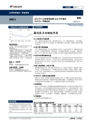 钢铁深度报告：2019年5月投资策略暨2018年年报及2019年一季报总结-盈利压力与韧性并存