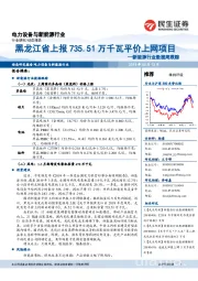 新能源行业数据周跟踪：黑龙江省上报735.51万千瓦平价上网项目
