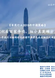医药行业2019年中期策略:结构优化看百家争鸣,细分真英雄方主沉浮——寻找行业结构优化进程中高景气成长细分的确定性
