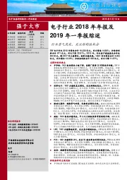 电子行业2018年年报及2019年一季报综述：行业景气筑底，关注结构性机会