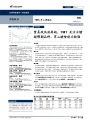 TMT+军工周观点：贸易战风波再起，TMT关注业绩超预期品种，军工避险能力较强