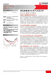 轻工行业2019年中期策略：精选稳健增长和景气改善品种