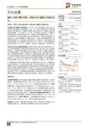 有色金属行业研究周报:缅甸+关税+需求共振,持续关注中重稀土和磁材龙头