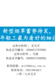 新型烟草蓄势待发，2019年轻工最为看好的细分赛道