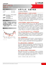 公用事业中期策略:改革不止步,发展加速度