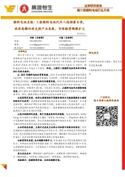 燃料电池月报:3款燃料电池汽车入选推荐目录,政府高额补助支持产业发展,市场融资规模扩大