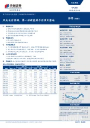 电气设备行业周报：风电电价明确，第一批新能源平价项目落地