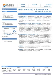 农林牧渔周报：猪肉上涨预期不变 玉米可能因虫而涨