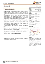 有色金属行业专题研究：中国强势资源有望崛起