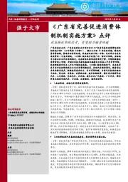 汽车：《广东省完善促进消费体制机制实施方案》点评-政策释放积极信号，有望助力销量回暖