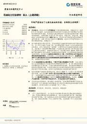 石油化工行业深度研究：市场严重低估了大炼化板块的价值：含极限生存测算！