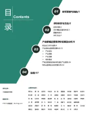 房地产行业：2019中国产业新城运营商评价研究报告