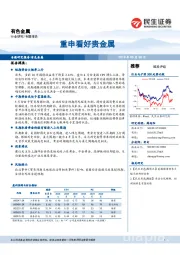 有色金属行业研究专题报告：重申看好贵金属