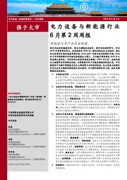 电力设备与新能源行业6月第2周周报：新能源汽车产业政策转暖