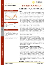 推动消费品更新政策点评：促消费政策再加码，汽车打开限购成焦点
