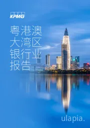 粤港澳大湾区银行业报告