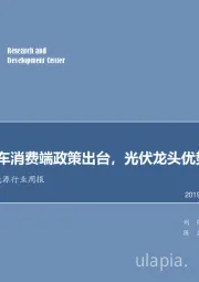 电气设备及新能源行业周报：新能源汽车消费端政策出台，光伏龙头优势提升