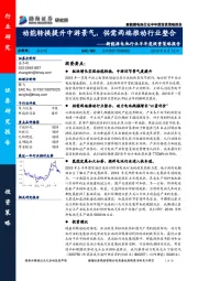 新能源电池行业半年度投资策略报告：动能转换提升中游景气，供需两端推动行业整合