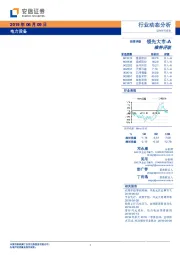 电力设备行业动态分析：拥抱光伏平价大周期，关注促消费政策后续实施