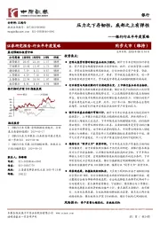 银行行业半年度策略：压力之下存韧性，底部之上有弹性