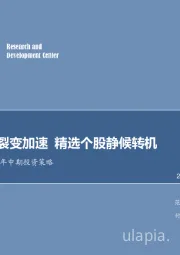 汽车行业2019年中期策略：市场更弱裂变加速，精选个股静候转