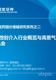 中国医药细分领域研究系列之二：微创介入行业概览与高景气领域投资机会