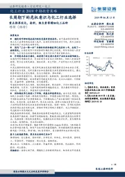 化工行业2019中期投资策略：长周期下的危机意识与化工行业选择-重点推荐农化，染料，维生素等精细化工品种