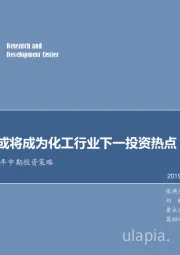 化工行业2019年中期投资策略：煤制乙醇或将成为化工行业下一投资热点