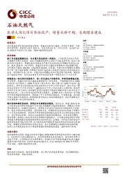 石油天然气：民营大炼化项目陆续投产；增量业绩可期；长期壁垒建成