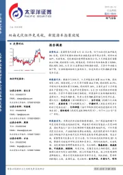 电气设备行业周报：双面光伏组件免关税，新能源车抢装放缓