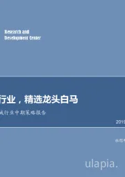 2019年机械行业中期策略报告：聚焦细分行业，精选龙头白马