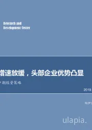 社服行业2019中期投资策略：旅游行业增速放缓，头部企业优势凸显