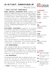 钢铁行业周报：唐山限产或趋严，短期钢材价格获支撑