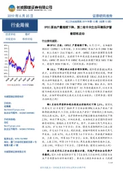 化工行业双周报2019年第12期（总第12期）：OPEC原油产量继续下降，第二轮中央生态环境保护督察即将启动