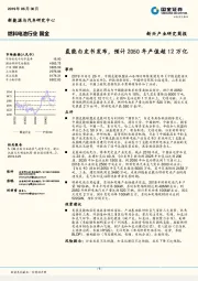 燃料电池行业：氢能白皮书发布，预计2050年产值超12万亿