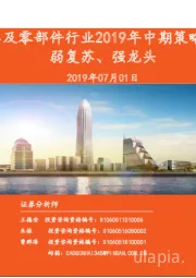 汽车及零部件行业2019年中期策略报告：弱复苏、强龙头