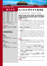 化工行业2019下半年中期策略：景气回落集中度提升，聚焦龙头与确定性