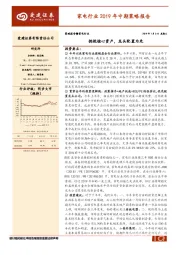 家电行业2019年中期策略报告：拥抱核心资产，龙头配置为先