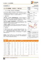 石油化工：2019年中期策略：逆流而上、淘沙见金