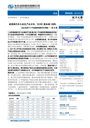 中小市值组新能源汽车周报第26期：新能源汽车大会定产业方向，2019H1装机超30GWh