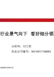2019年中期策略报告:2019年石化行业景气向下 看好细分领域投资机会