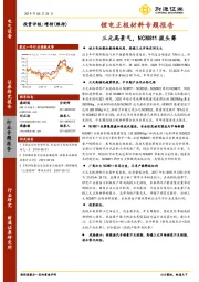 锂电正极材料专题报告：三元高景气，NCM811拔头筹